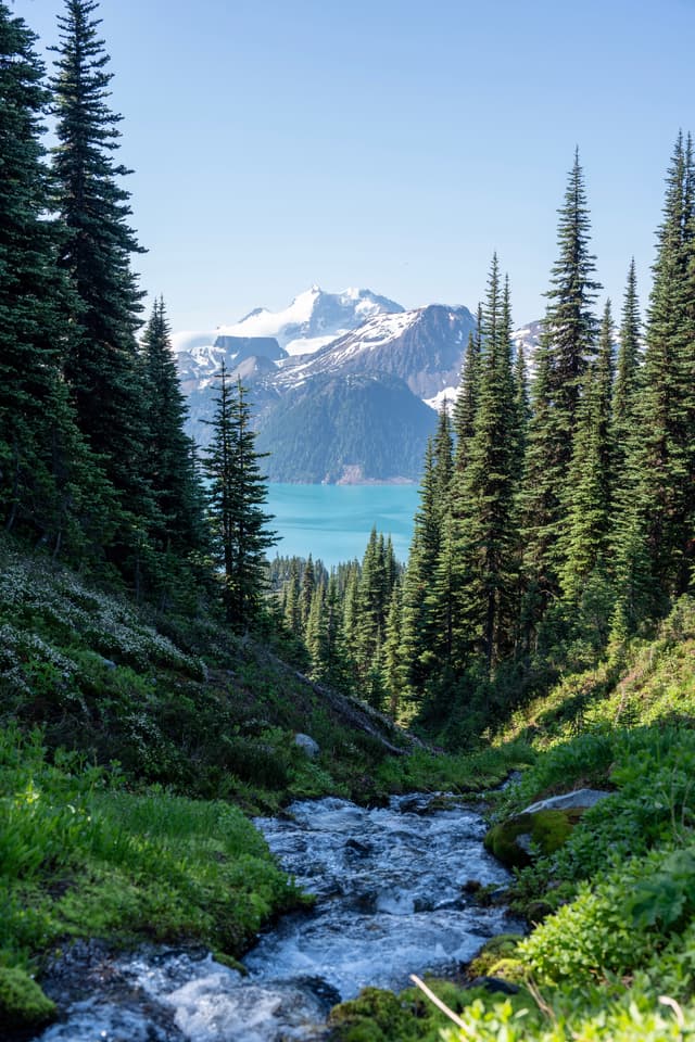 Garibaldi lake