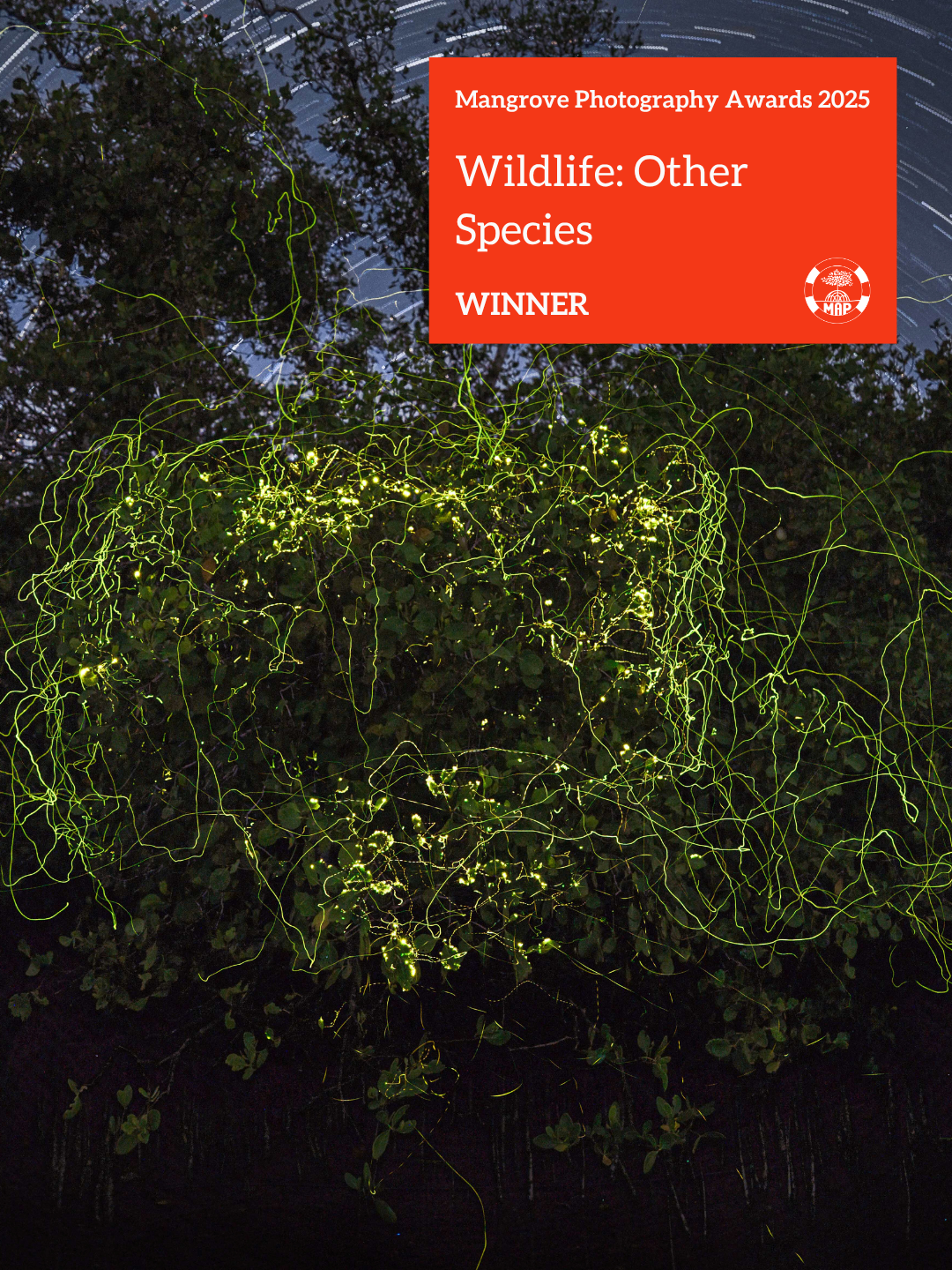 Mangrove Photography Awards 2025 Winner